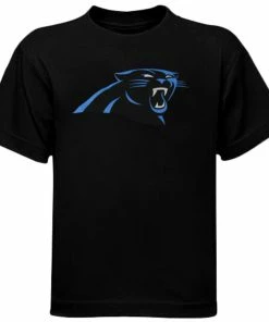 Carolina Panthers Preschool Team Logo T-Shirt - Black