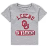 Toddler Heathered Gray Oklahoma Sooners Legend Trainer T-Shirt