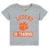 Toddler Heathered Gray Clemson Tigers Legend Trainer T-Shirt