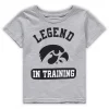 Toddler Heathered Gray Iowa Hawkeyes Legend Trainer T-Shirt