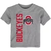 Toddler Heathered Gray Ohio State Buckeyes Big & Bold T-Shirt