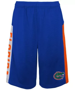 Youth Royal Florida Gators Down The Field Mesh Shorts