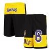 Youth LeBron James Black Los Angeles Lakers Pandemonium Name & Number Shorts