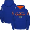 Youth Royal Florida Gators The Champ Is Here Pullover Hoodie