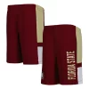 Youth Garnet Florida State Seminoles Lateral Mesh Performance Shorts