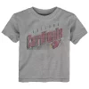 Toddler Heathered Gray Arizona Cardinals Winning Streak T-Shirt