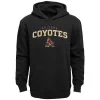 Youth Black Arizona Coyotes Team Lock Up Pullover Hoodie