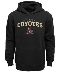 Youth Black Arizona Coyotes Team Lock Up Pullover Hoodie