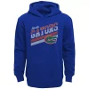Youth Royal Florida Gators Love of the Game Pullover Hoodie