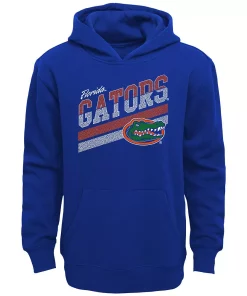 Youth Royal Florida Gators Love of the Game Pullover Hoodie